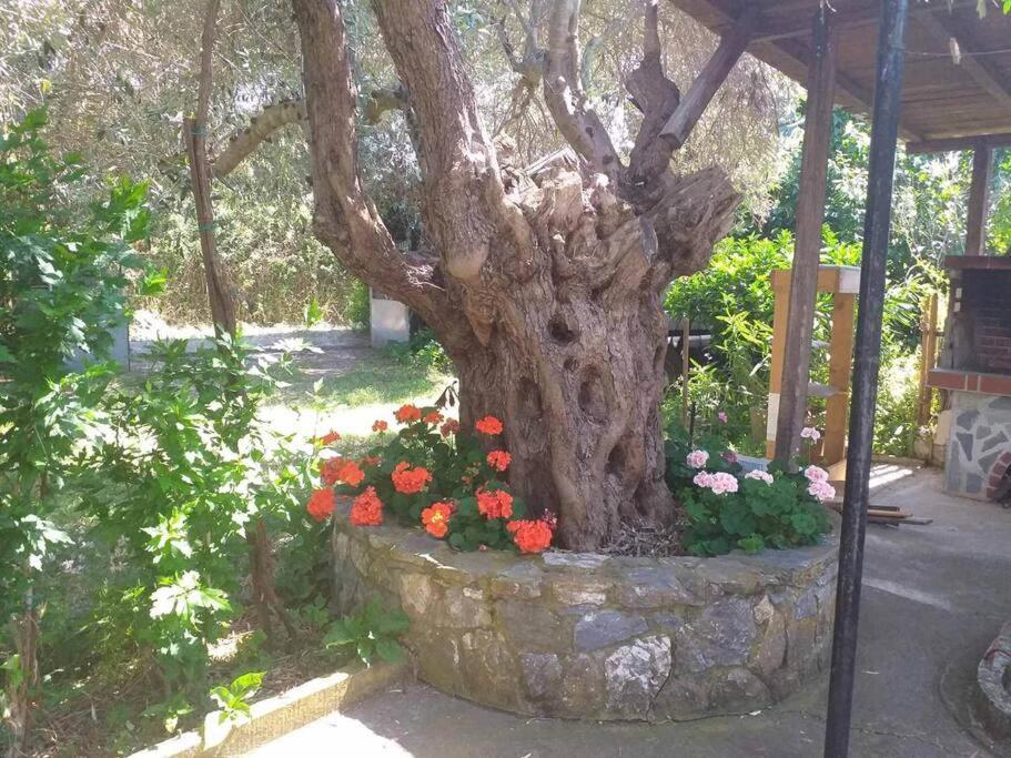 Zephyr Guest House Lefokastro Luaran gambar